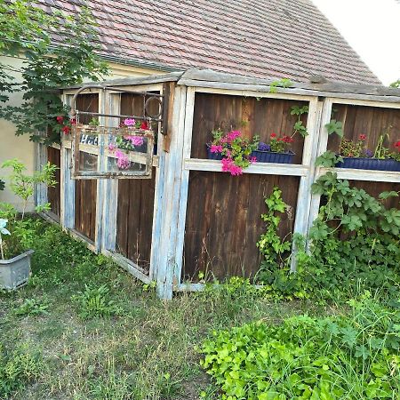 Ostsee Radlerpension Peitz Εξωτερικό φωτογραφία