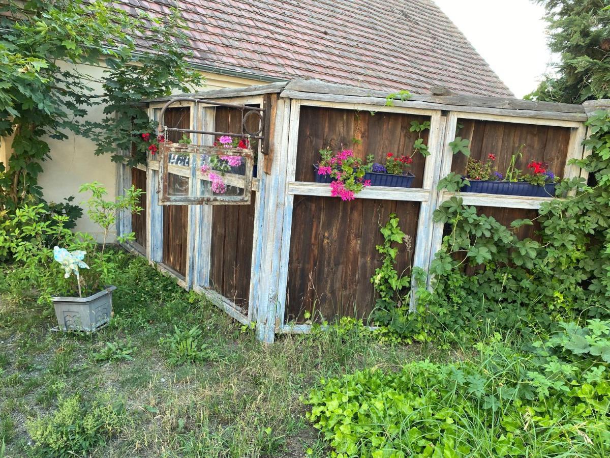 Ostsee Radlerpension Peitz Εξωτερικό φωτογραφία